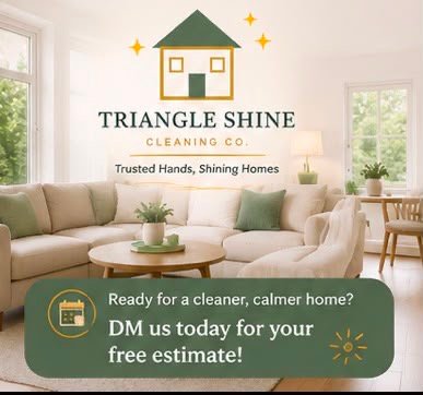Clean, bright living room with Triangle Shine branding.